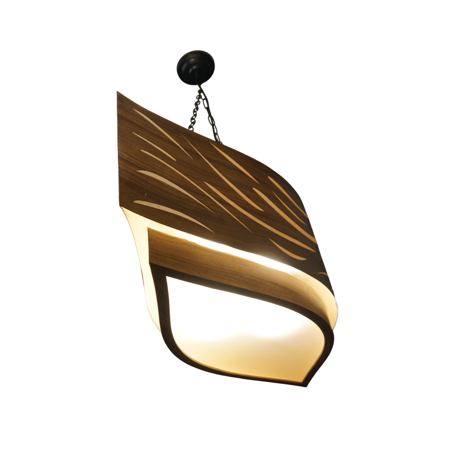 Ark